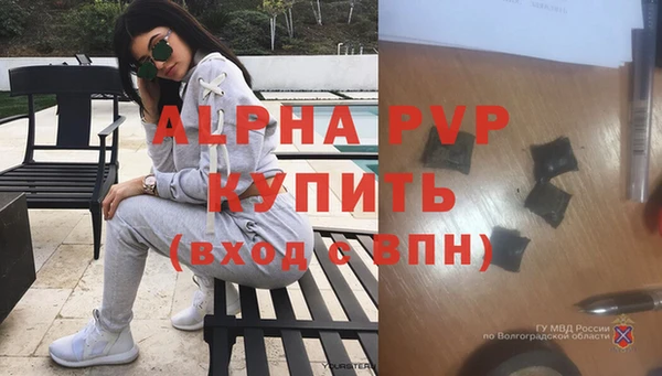 тгк Бердск